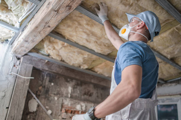 Best Insulation Replacement Services  in Jordan, NY